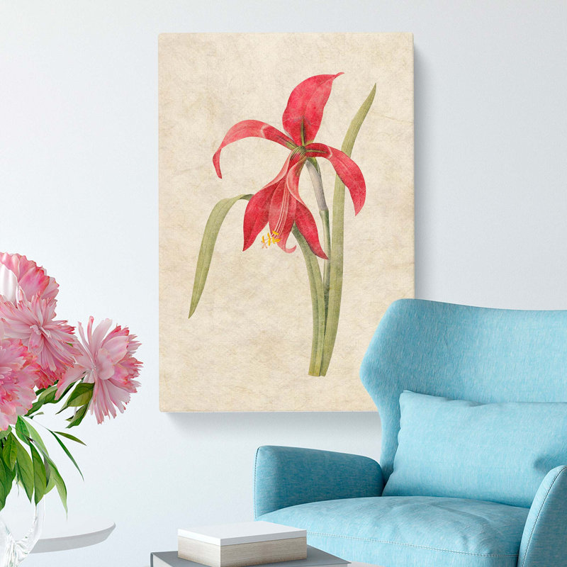 Amaryllis Flower - Wrapped Canvas, 76cm H x 50cm W x 3cm D