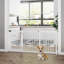 Free Standing Pet Gate With Door-259060996