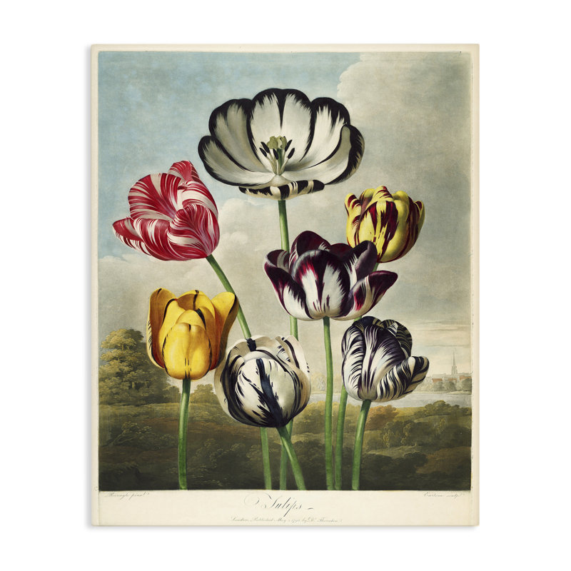 Tulipes du temple, conception de la collection Print, H 30 po x l 24 po