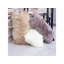 Ensemble de 2 coussins lombaires en peau de mouton véritable 12 po x 24 po-128887766-128887773