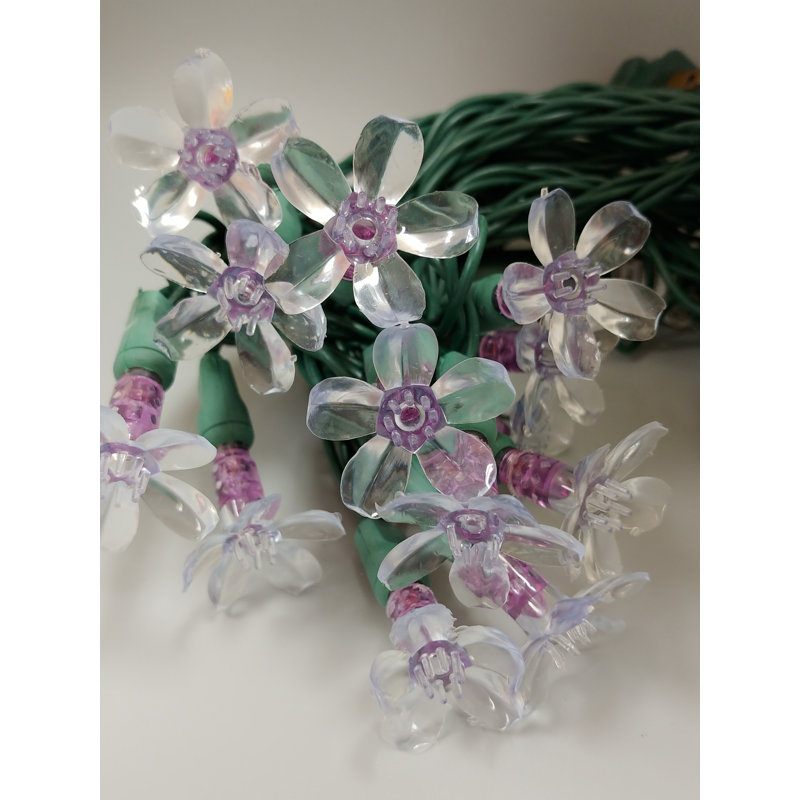 Guirlande lumineuse, Mauve