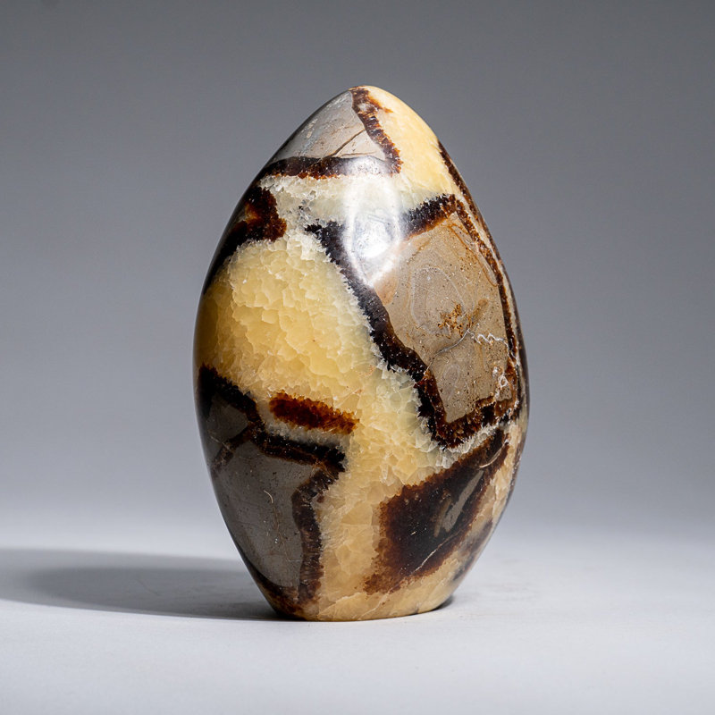 Polished Septarian Freeform from Madagascar (1.7 Lbs)