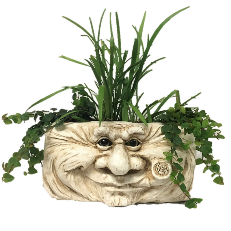 Muggly's Grandpa Old Hickory Tree & Patio Wall Planter, Antique White