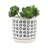 S/2 5/6" Aztec Planter W/ Saucer