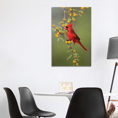 Northern cardinal perched. 1 Piece Wrapped Canvas Wall Art