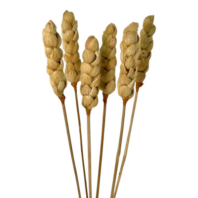 Pineapple Torch Bouquet, 6-Stem
