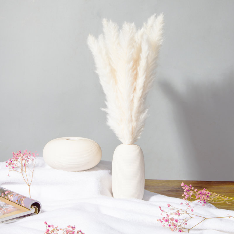 Pampas Grass Arrangement, 60cm H x 5cm W x 5cm D, Cream