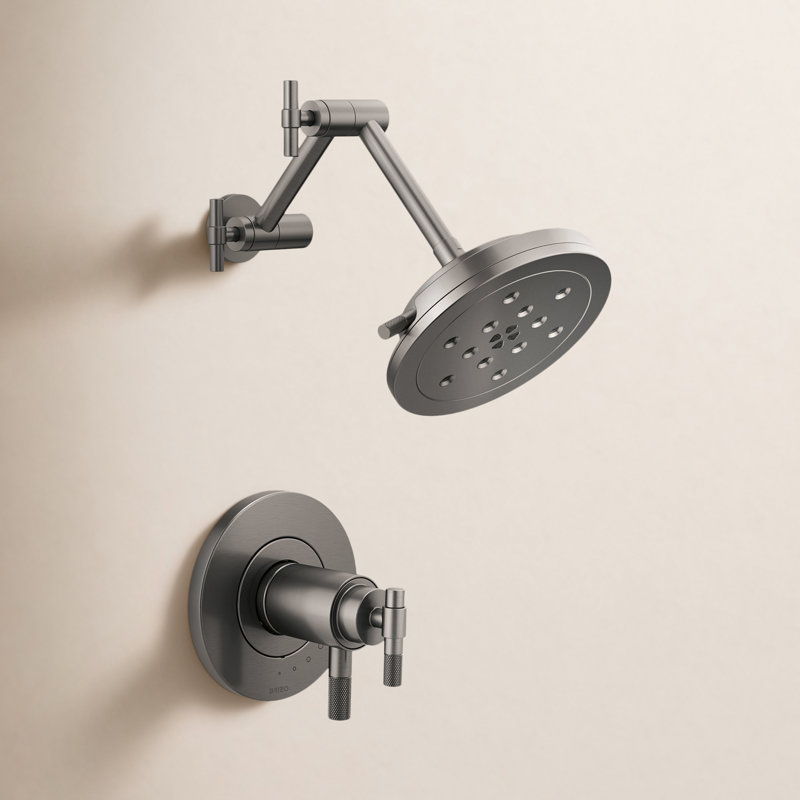 Litze Thermostatic Shower Faucet with TempAssure, Luxe Steel, T-Lever