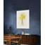 Daffodils 2 Print by Claudia Lowry-170125974