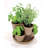 Manac Pot Planter-1103074596