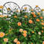 Paquet de 2 treillis de jardin en métal antirouille pour plantes grimpantes pour l'extérieur-595026494