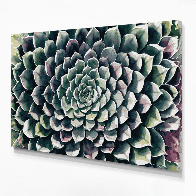 Art mural sur toile Botanical Echeveria, H 16 po x l 20 po