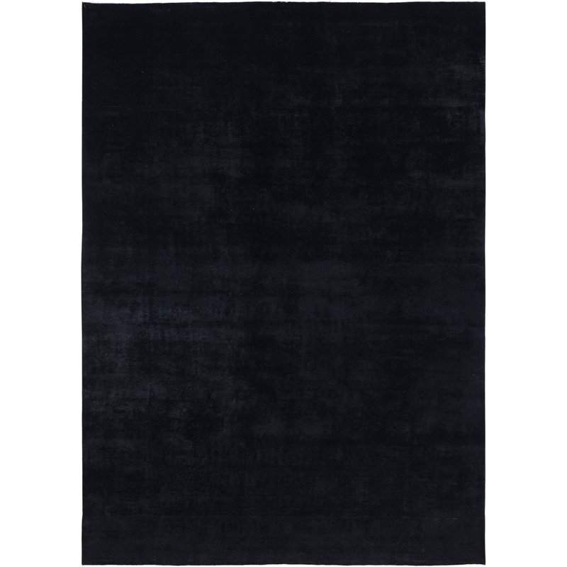 Tapis noir contemporain en laine noué à la main Dail 10 pi 1 po x 14 pi 5 po