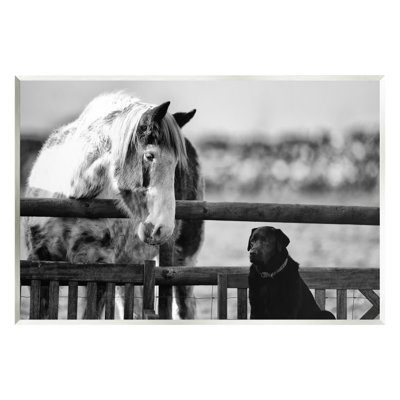 " Dog And Horse Farm Animal Friends Monochrome " by James Dobson