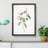 Austrian Briar Rose In Pink by Pierre-Joseph Redoute - Single Picture Frame Painting-55457027-55457030