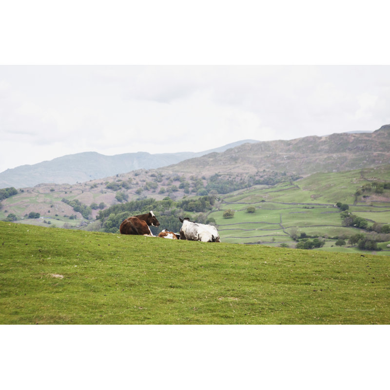 Lake District III, H 8 po x l 12 po, Non, Toile tendue