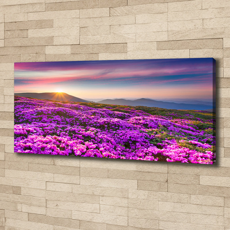 Flowers In The Mountains - Wrapped Canvas Print