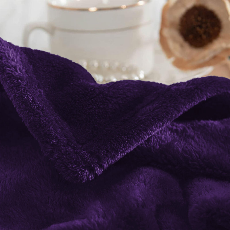 Aspire Homeware Ultra-Soft Hotel Quality Reversible Plain Weave Fleece Throw Blanket, Purple, Double (150cm W x 200cm L)