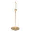 Ensemble de porte-bougie Tulip-487016286