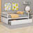 Cerasella Daybed with Trundle Bed-1262398431