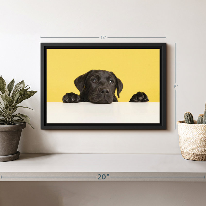 Adorable impression sur toile de laboratoire noir, H 9 po x l 13 po