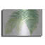 «Ferns III» par Chris Paschke-709083171