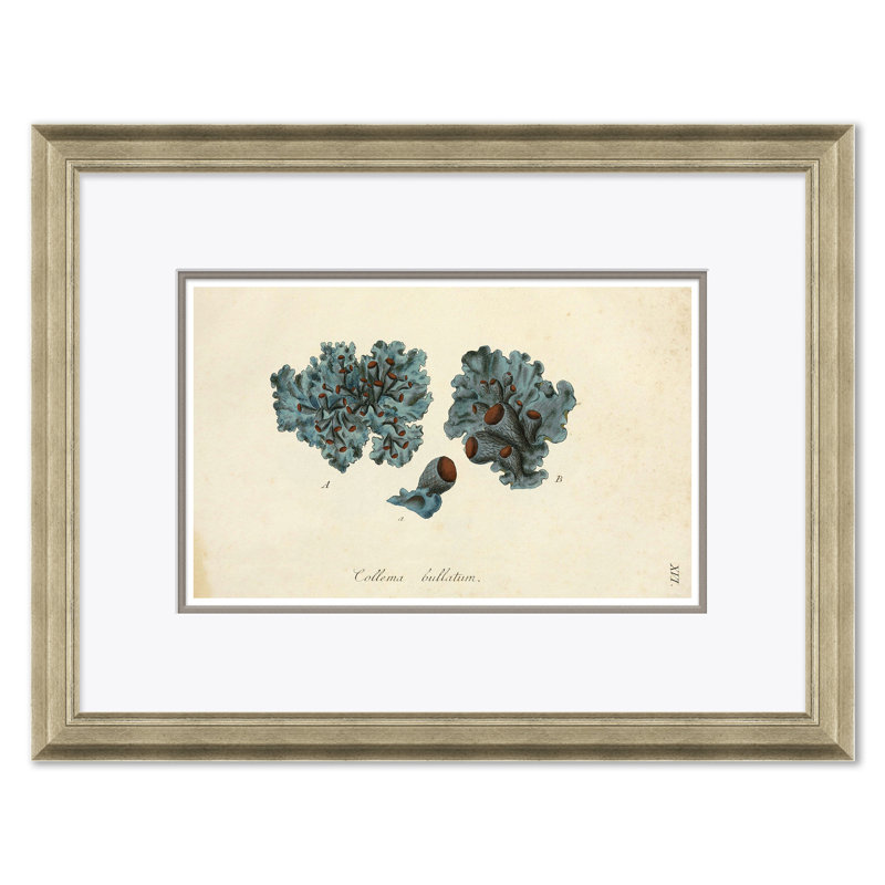 Blue Coral Giclee Print by Paul Cezanne