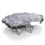 Satyria Coffee Table