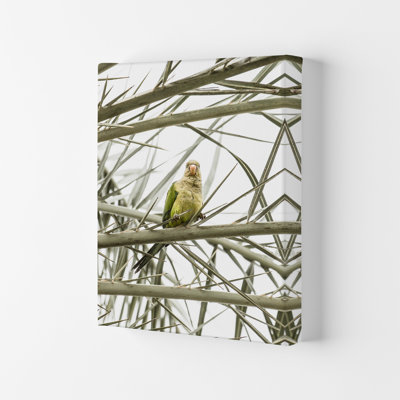Parrot by Victoria Frost - Print