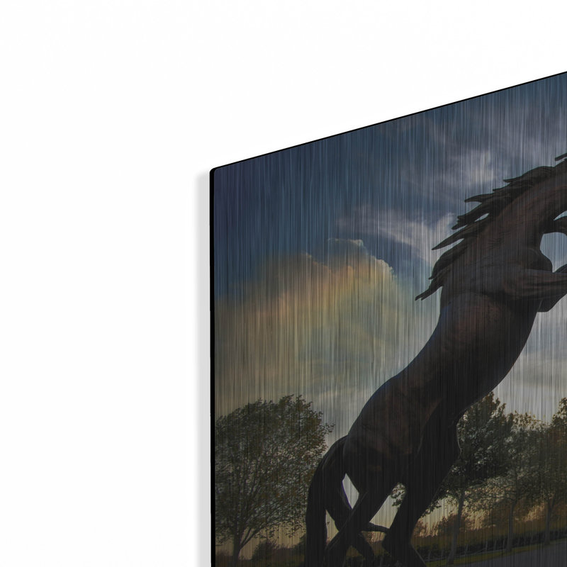 " Stallions " by SD Smart, 16" H x 24" W