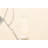Timeless Cream Rug 5'0" x 8'0"