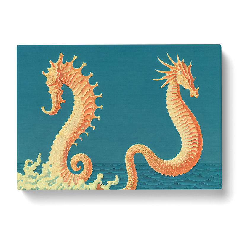 Two Seahorse - Wrapped Canvas, 35cm H x 50cm W x 3cm D