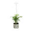 Plant Grow Lamp White