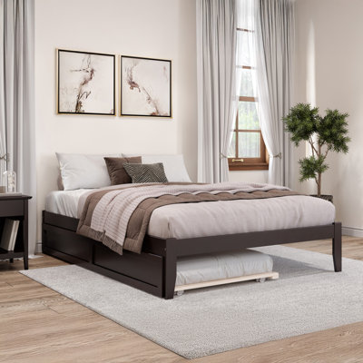 Aayanna Solid Wood Sturdy Platform Bed with Guest Trundle