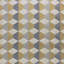 Etude Fabric
