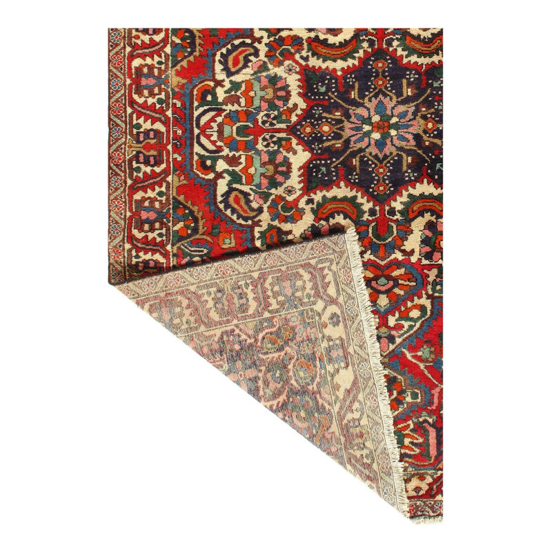 Oriental Area Rug in Red