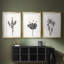 Encre botanique croquis II-457479931-457479935
