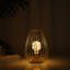 Metal Cordless Table Lamp Cage Shape Battery Operated Lamp with Warm Fairy Lights Bulb-78933294