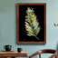Frond I - reproduction de cadre photo sur papier-1573226224-1573226231