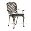 Provance Patio Dining Armchair with Cushion-83260232-83260218-83260245