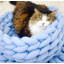Tapis de lit pour animal de compagnie-2130757166-2139225963