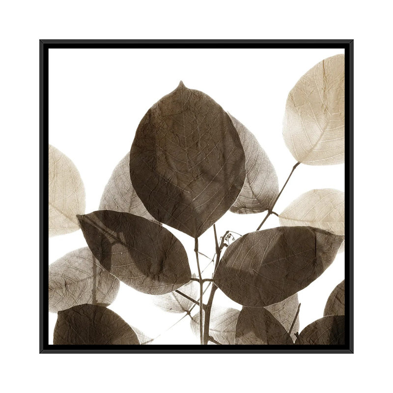 «Chocolate Leaves I» par - Toile tendue, Toile avec cadre noir, H 18 po x l 18 po x P 1,5 po