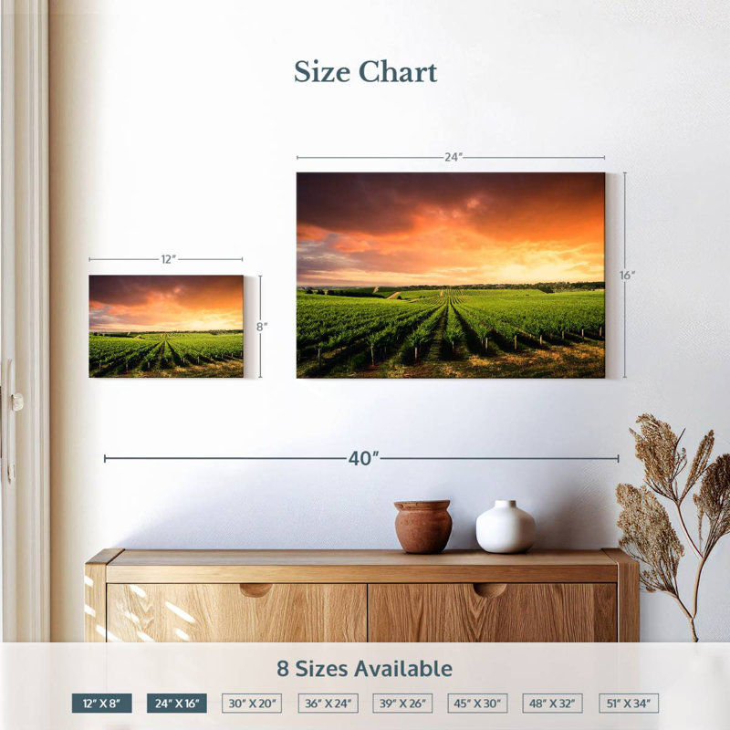 Alvord Vineyard Sunset Horizon, H 16 po x l 24 po