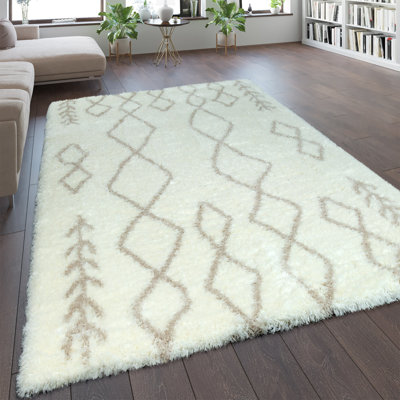 Acoidan Moroccan Area Rug