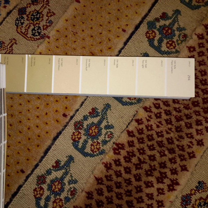 Asharna Oriental Area Rug in Beige