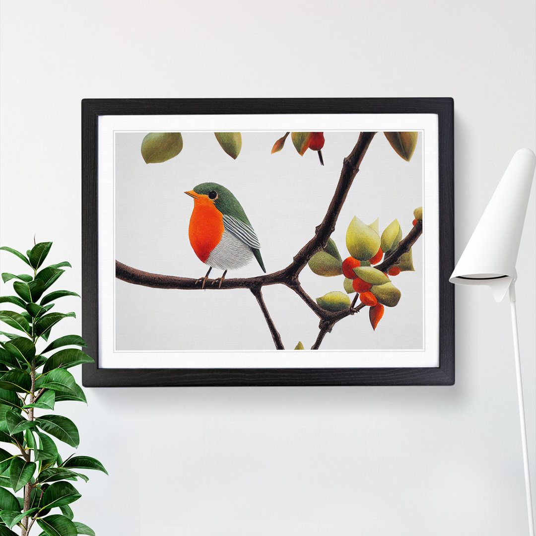Captivating Robin Bird - Framed Print