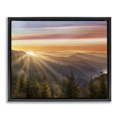 «Sunrise Through Mountain Forest Skyline» par Danita Delimont