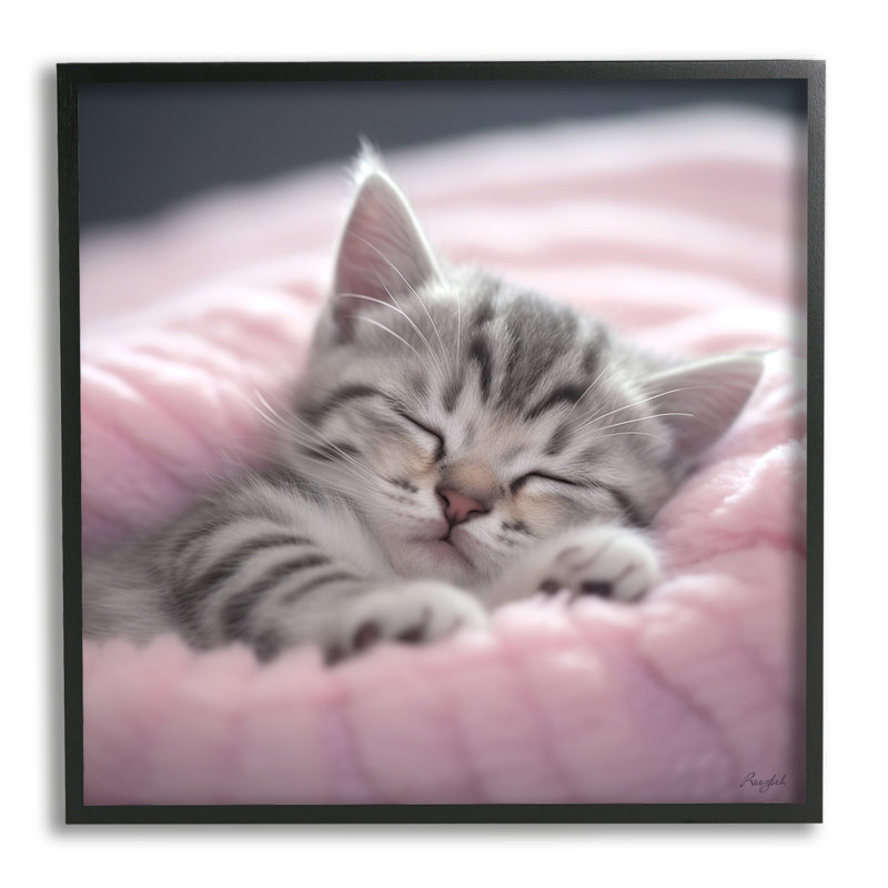 «Soft Kitten Tucked In» par Roozbeh, reproduction de photo sur toile, Giclée encadrée noir minuit, H 12 po x l 12 po