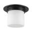 Mineral 8-in Brass Flush Mount-431977230-431977231