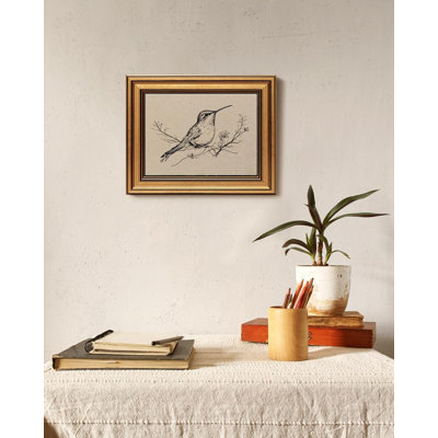 Vintage Hummingbird Sketch Framed Wall Art - Gold Framed Minimalist Bird Line Drawing for Cottagecore & Rustic Home Decor